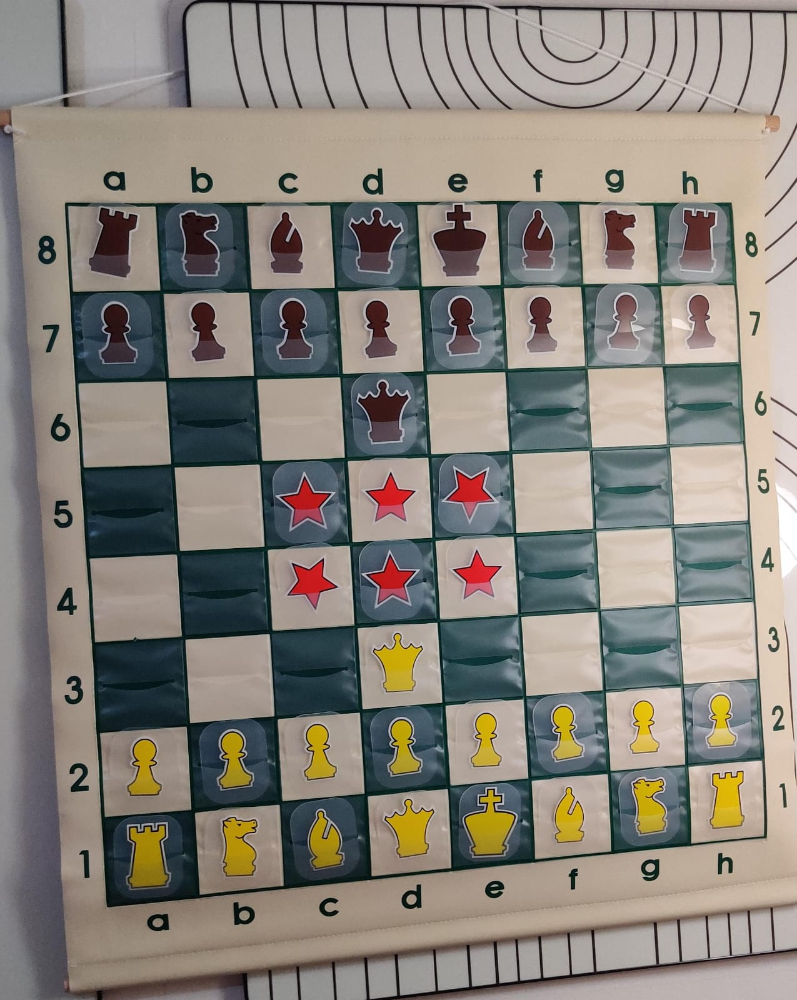 36"Pouch-Style Chess Demonstration (Teaching) Board Set with Deluxe Carrying Bag